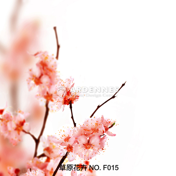 草原花卉F015
