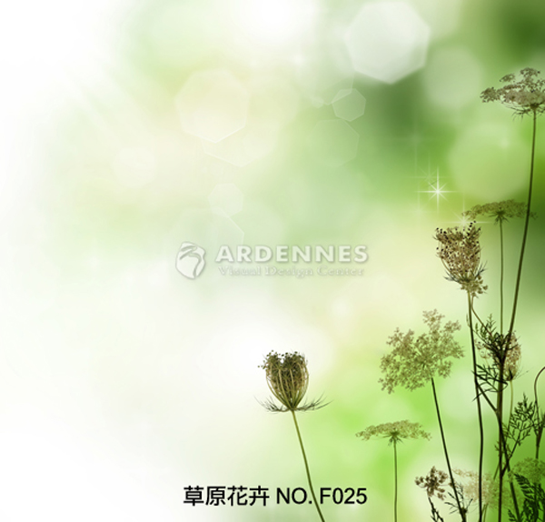 草原花卉F025